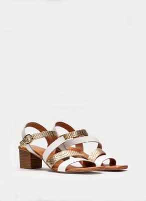 رش الفندق يتصل zapatos hispanitas - sapienbd.com