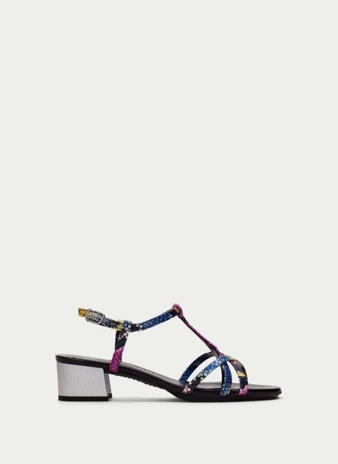OUTLET Mujer HV215023 PYTHON-MULTI - HISPANITAS