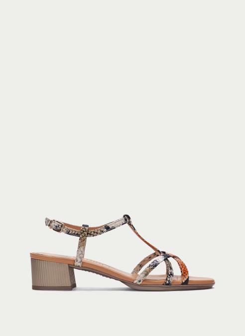 OUTLET Mujer HV215023 PYTHON-NARANJA - HISPANITAS