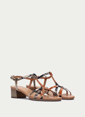 ▷ Zapatos de Mujer Online | Comprar en HISPANITAS ®️