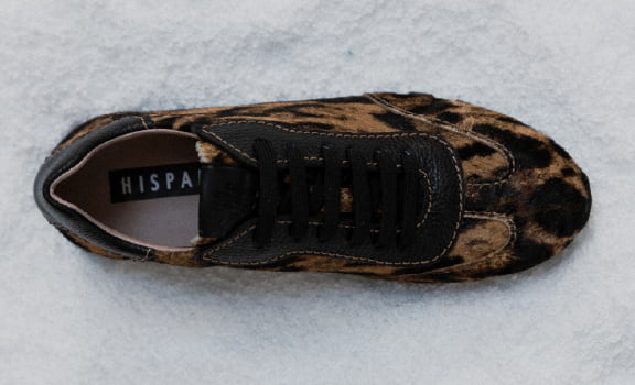 hochfront hispanitas