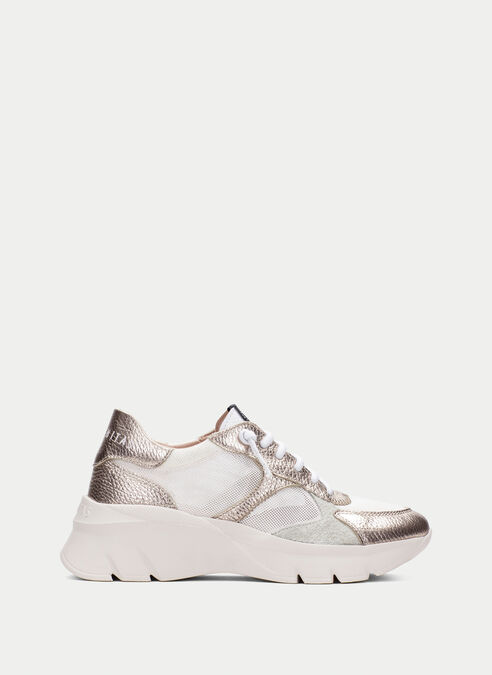 deportivos habana champagne